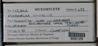 Image Associated With the Occurence